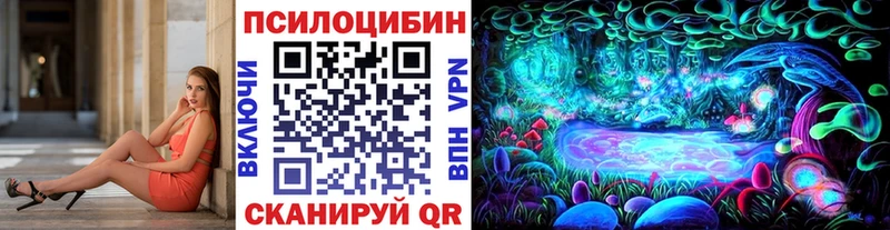 Псилоцибиновые грибы ЛСД даркнет сайт Таштагол
